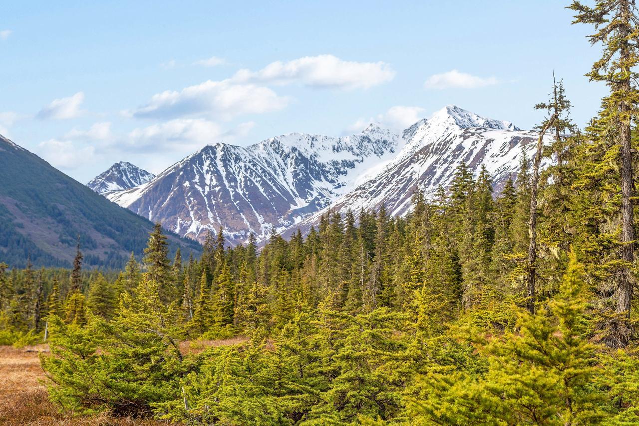 Skiview #103 Girdwood Exterior foto